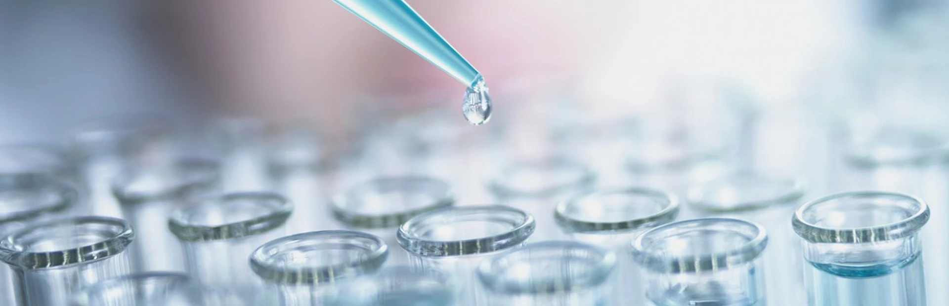 A scientist performs tests for cancer research with pipette and test tubes