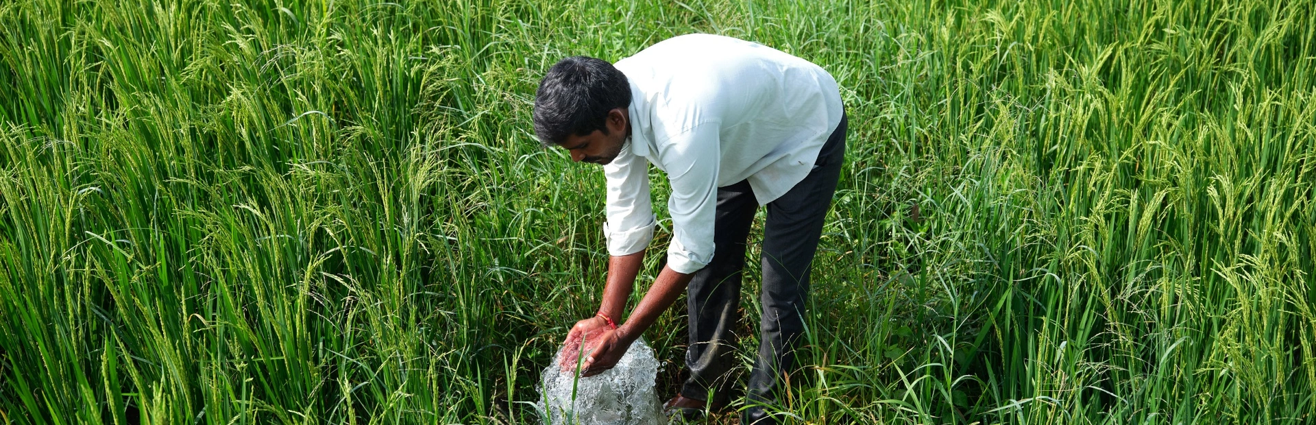 K Malesh, a farmer in the village of Sollakpally, now has ready access to water to irrigate his crops.