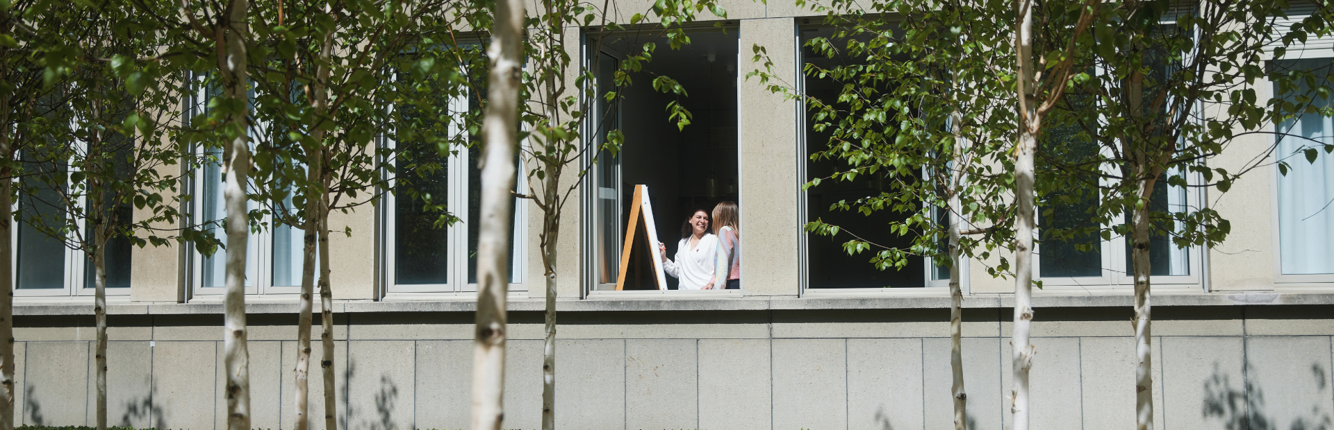 Two people standing by an open window of a modern building behind a row of slender trees.