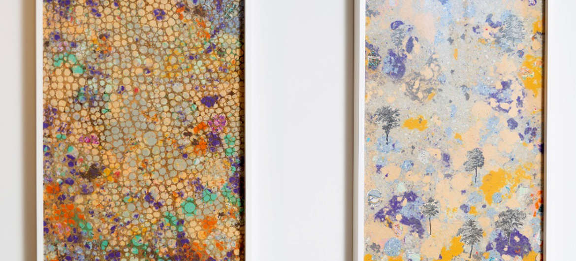 Poacher’s Atlas XXVII and XXVIII (Amsterdam)