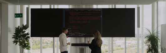 Max and colleague at work in Basel