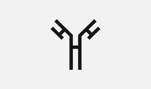 Y Chromosome icon
