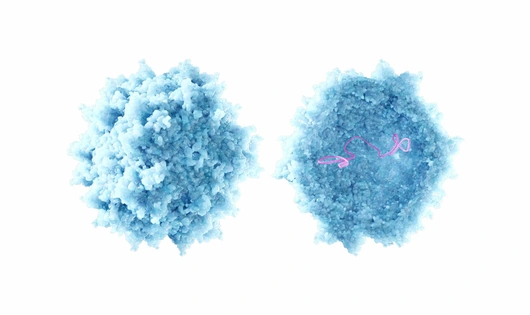 Illustration representing cell and gene