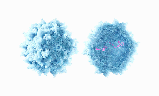 Illustration representing cell and gene