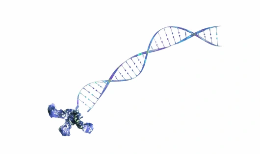 Illustration representing xRNA