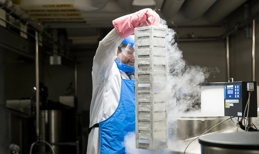 NIBR Operator in Cambridge, Massachusetts