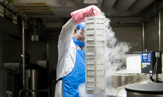 NIBR Operator in Cambridge, Massachusetts