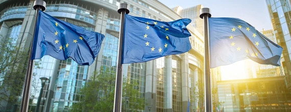 Novartis and the European Union