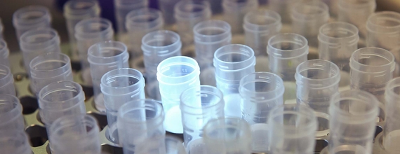 Illuminated samples in lab