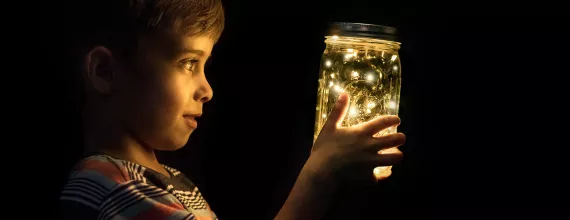 Young boy looking at fireflies