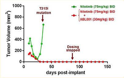 Cancer cocktails: ABL001 – hitting one target twice
