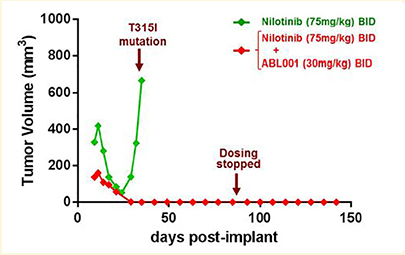 Cancer cocktails: ABL001 – hitting one target twice