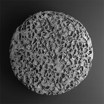 A baby-aspirin-sized immunotherapy device.