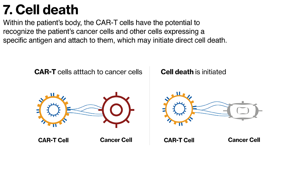 Cell Death