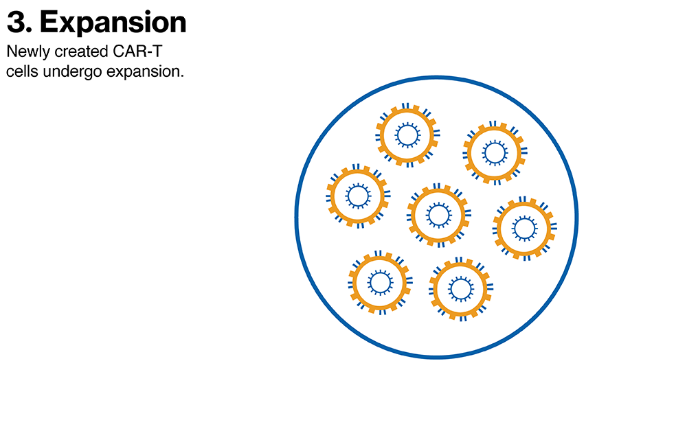 Expansion