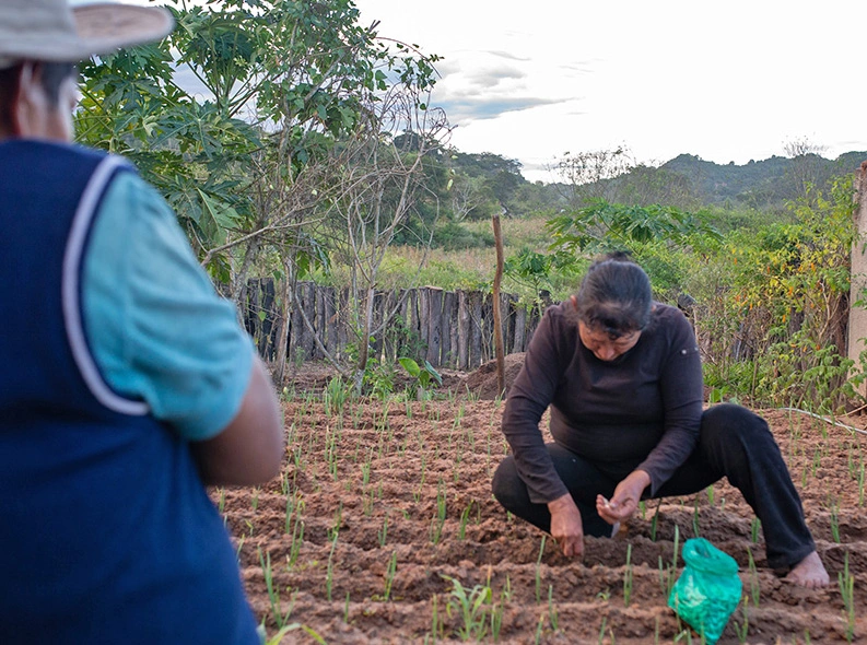 Julia is working on the field and Felix is watching her.