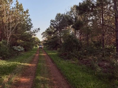 Santo Domingo Estate carbon-sink forestry project, Argentina.