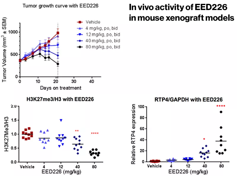 In vivo activity of EED226 in mouse xenograft models 