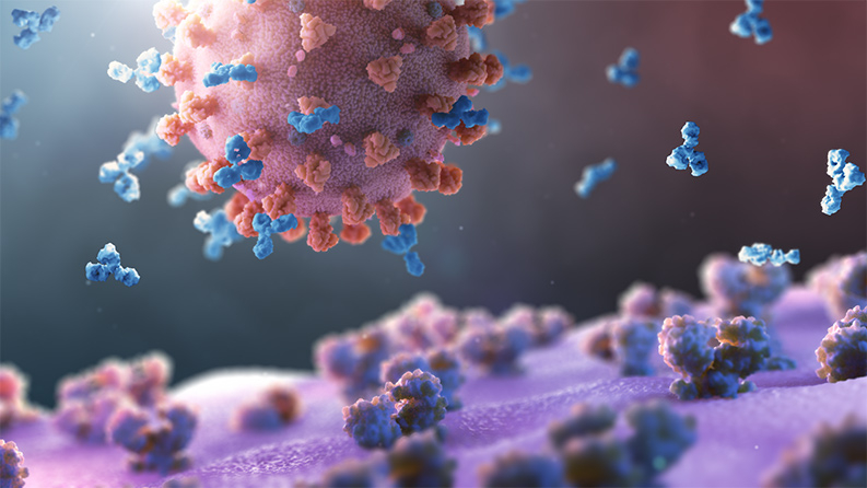 Neutralizing antibodies