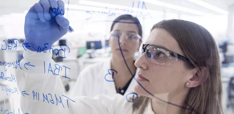 Scientists mark up their work on whiteboard