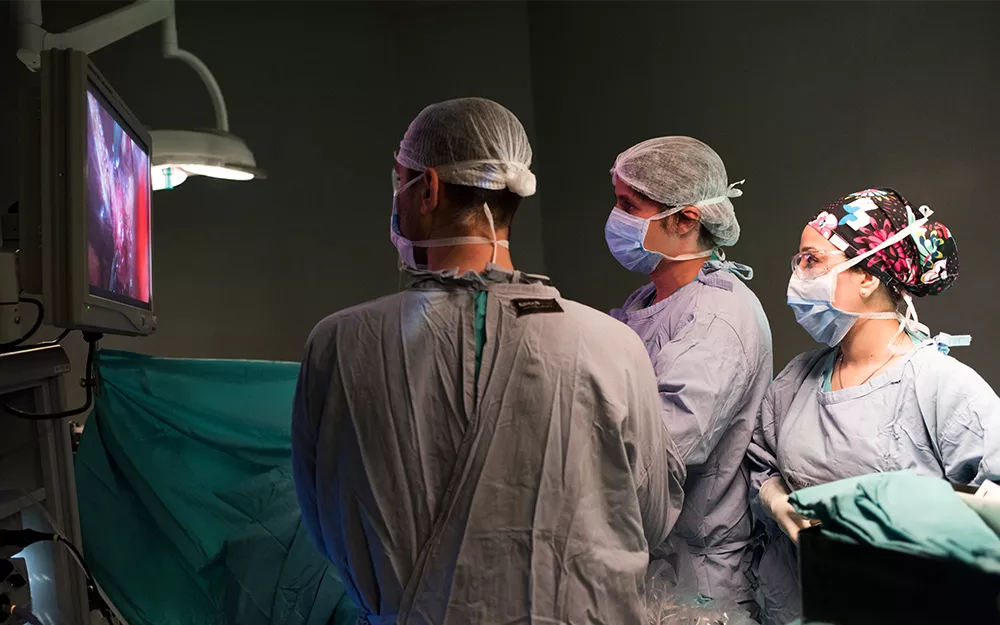 Transplant team performs laparoscopic surgery using small video camera