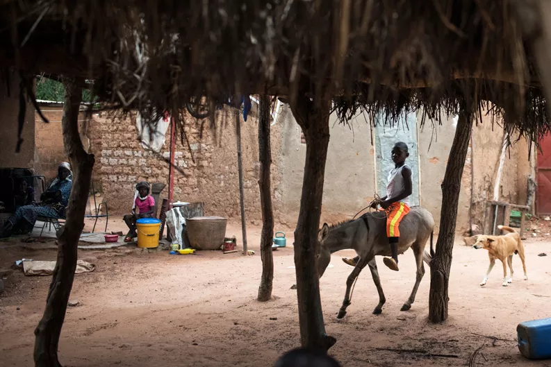 A young child rides a donkey in the village of Bougoula.