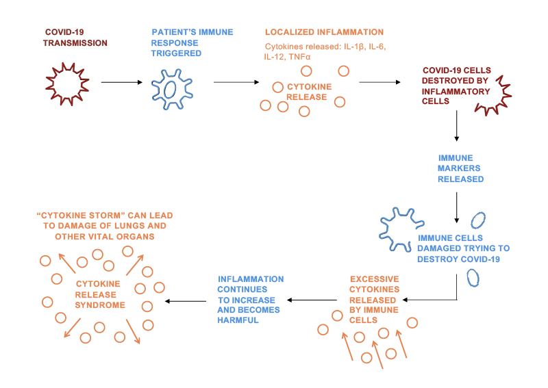 Image representing cytokine release syndrome mechanism