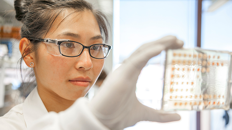 Our Process - Novartis