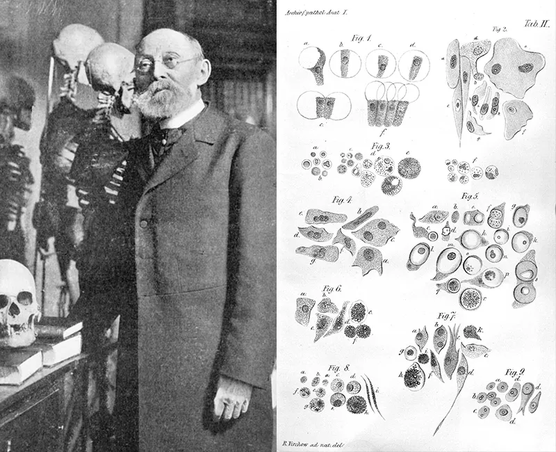Rudolf Virchow and his scientific drawings