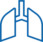 Anatomy Lungs Icon Blue
