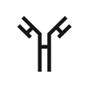 Y Chromosome icon