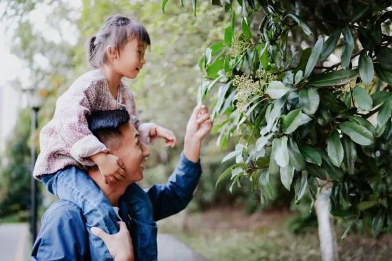 A father with daughter on his shoulders looking at a plant