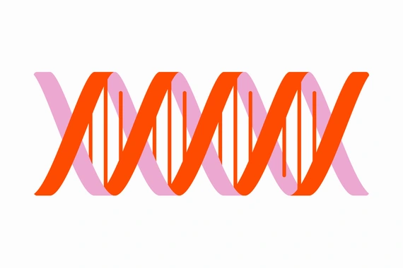 Illustration representing DNA