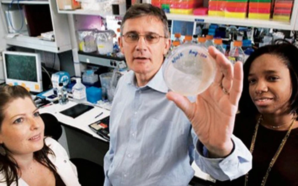 Five things to look for in a scientific mentor - hero image