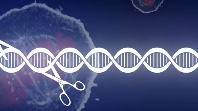 CRISPR genome editing fuels cancer drug discovery
