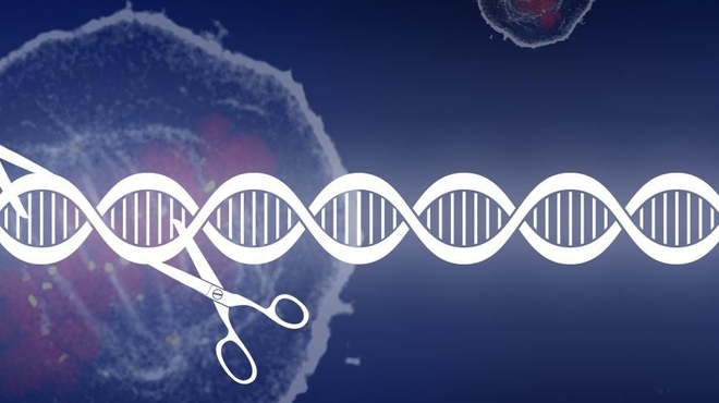 CRISPR genome editing fuels cancer drug discovery CRISPR genome editing fuels cancer drug discovery