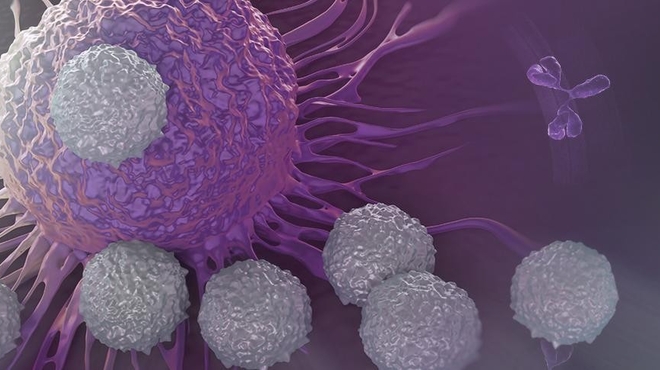 How scientists aim to expand immunotherapy options for cancer patients How scientists aim to expand immunotherapy options for cancer patients