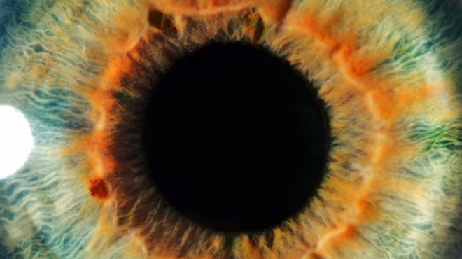 Human Eye Closeup Human Eye Closeup