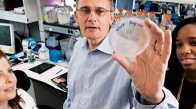 Five things to look for in a scientific mentor