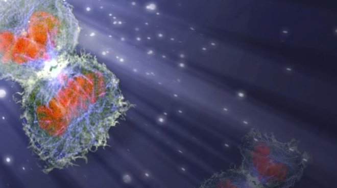 Novartis and Pfizer join forces to upend oncology dogma Novartis and Pfizer join forces to upend oncology dogma