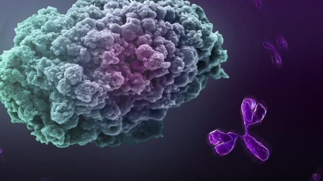 New recruit has big dreams for cancer immunotherapy New recruit has big dreams for cancer immunotherapy