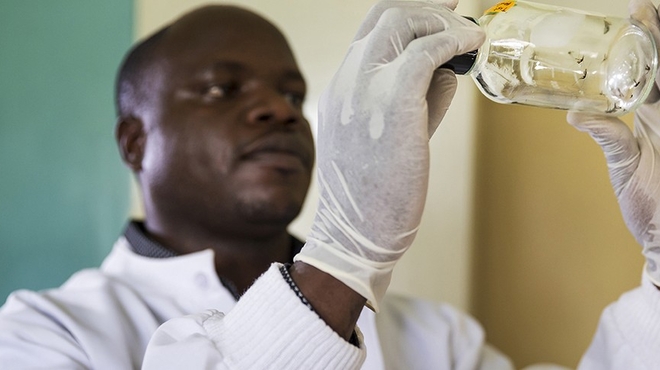 Malaria researcher