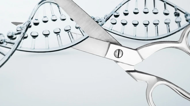 Can We Edit Our Genes to Fight Disease?