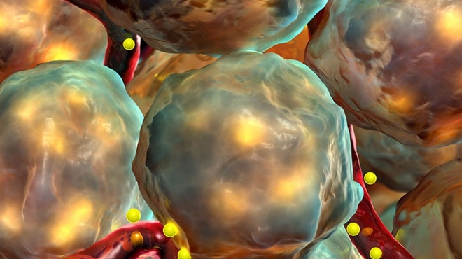 Artistic rendering of beta cells in the pancreas that produce insulin. Artistic rendering of beta cells in the pancreas that produce insulin.