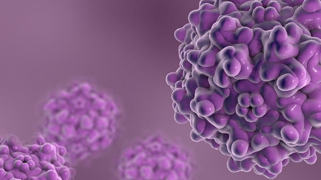 Small viruses for genome editing
