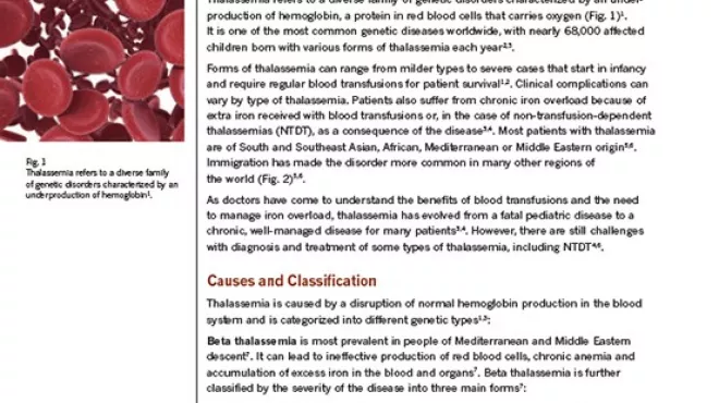 Thalassemia Backgrounder