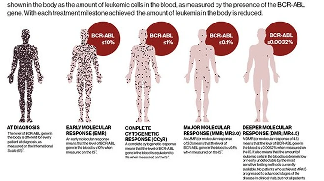 2017 CML Meet the Milestones that Matter One-Pager