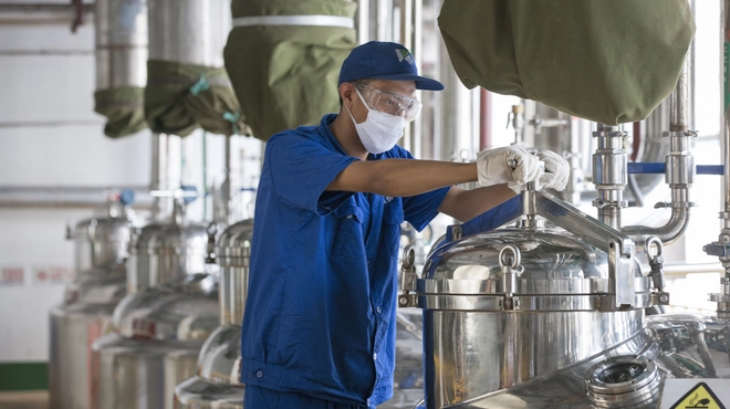 Artemisinin Extraction