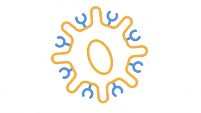 An animated overview of the science behind CAR-T cell therapy.