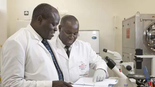 Malaria Researchers in Nairobi, Kenya